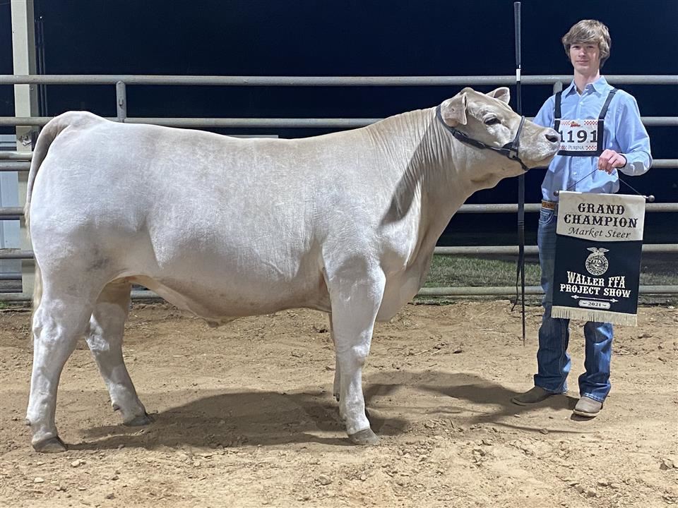 Waller FFA 70th Livestock Show and Auction